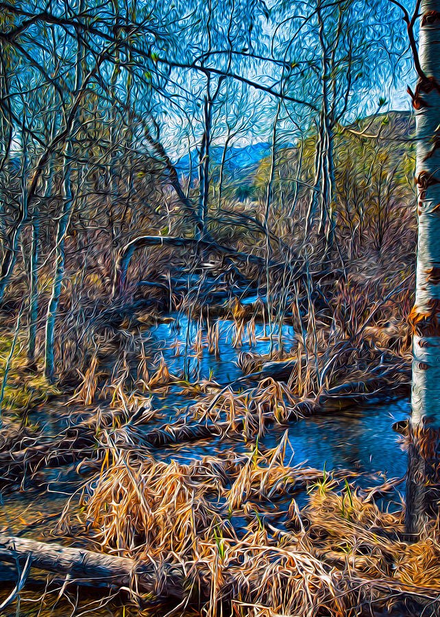 Streaming Beauty by Omaste Witkowski