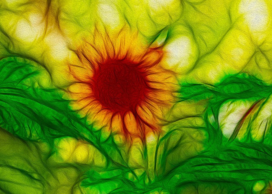 Sun and a Flower by Omaste Witkowski