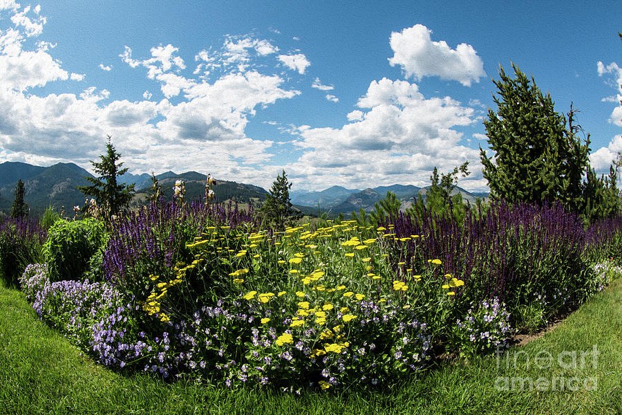 Bowl of Summer, Flower Garden and Mountain Sky by Omaste Witkowski