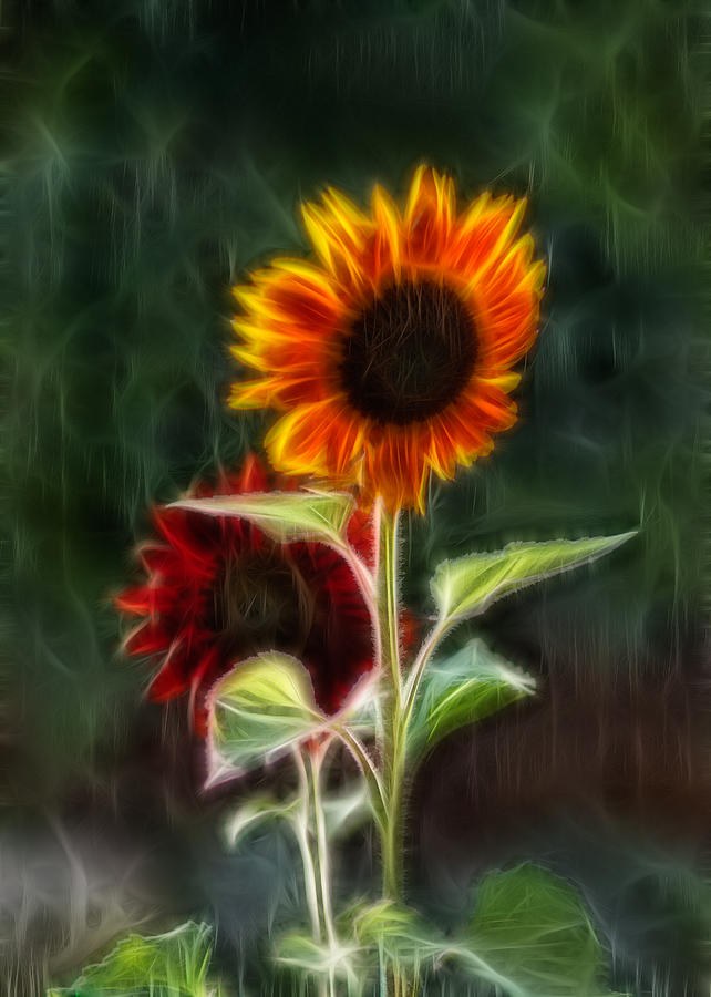 Sunflowers in the Rain by Omaste Witkowski