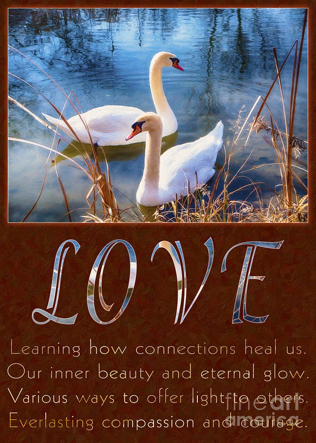 Swans and Love Motivational Artwork by Omashte by Omaste Witkowski