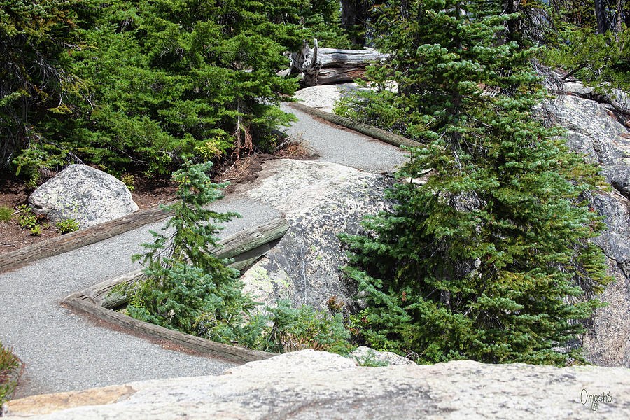 Taming The Wilderness North Cascades Mountain Art by Omashte by Omaste Witkowski