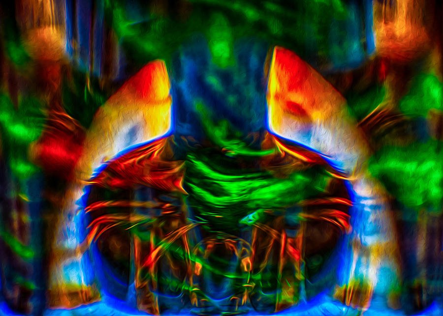The Doors of Perception by Omaste Witkowski