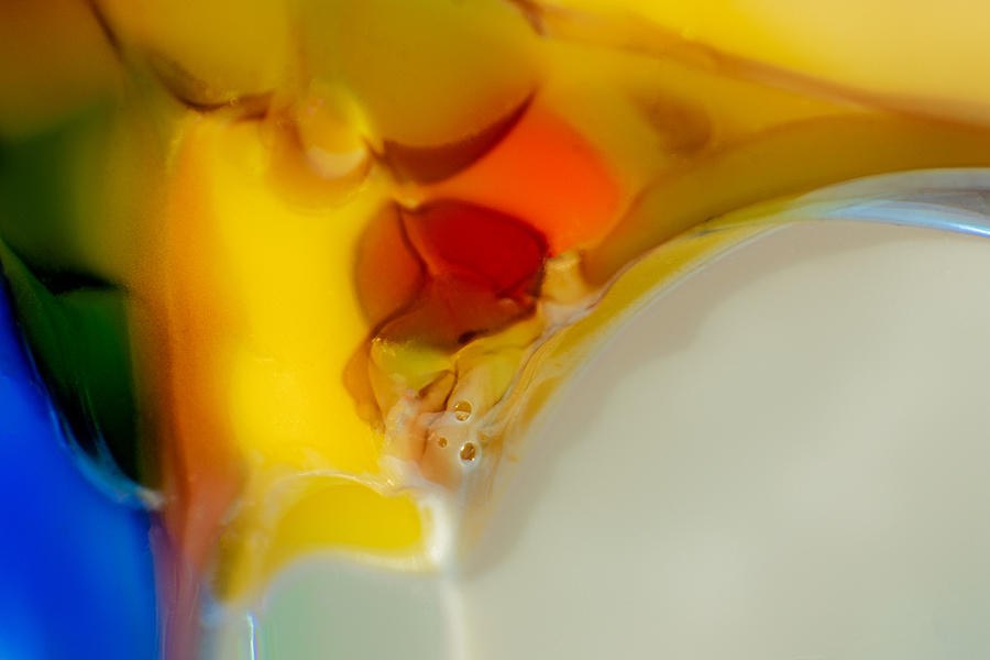 Tropical Bird by Omaste Witkowski