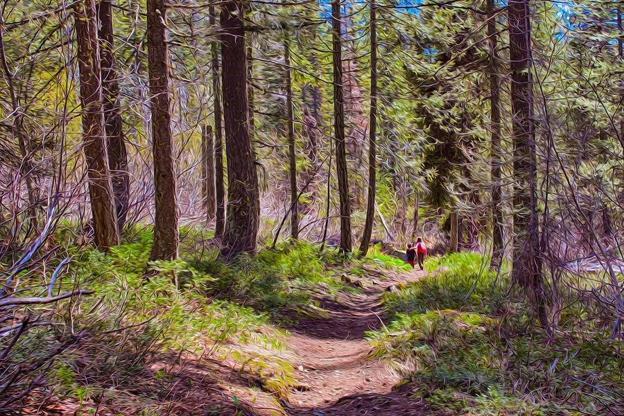 The Shimmering Path - Forest Trail with Two Walkers by Omaste Witkowski