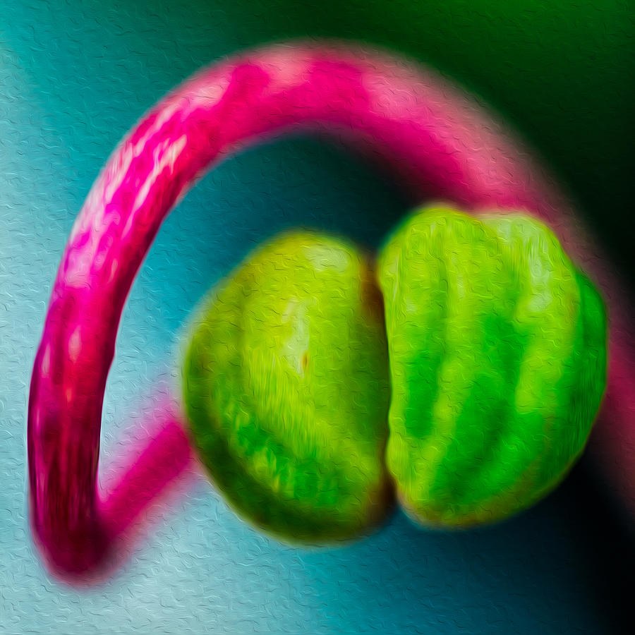 Pink Embrace, Magenta Arch and Lime Green by Omaste Witkowski