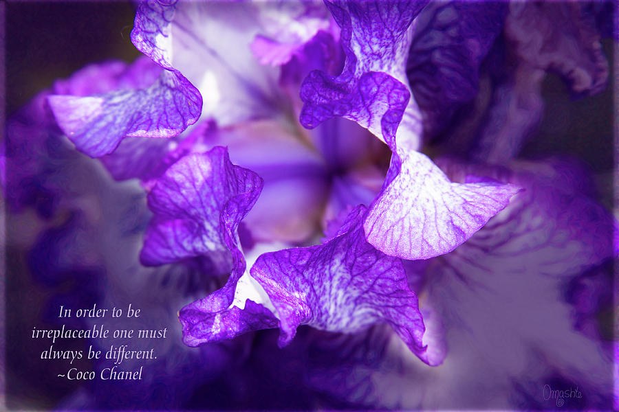 Unique Beauty - Motivational Flower Art by Omaste Witkowski by Omaste Witkowski