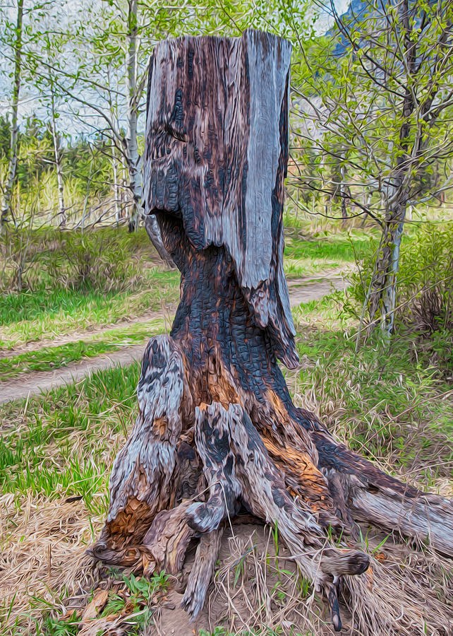 Vibrant and Burnt Out by Omaste Witkowski
