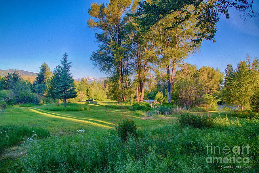 View of Mt Gardner From Cottonwood Cottage by Omaste Witkowski