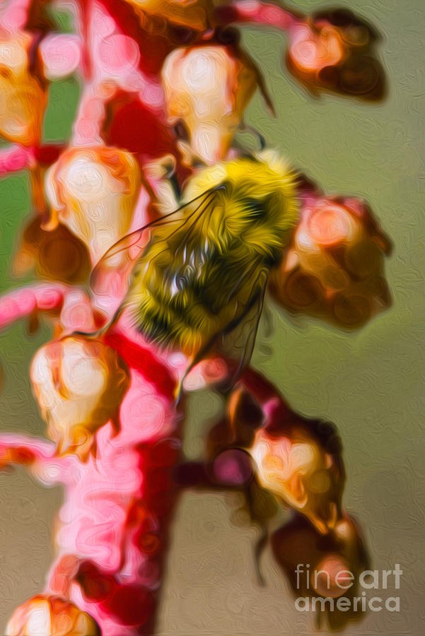 Wanting More Flowers by Omaste Witkowski