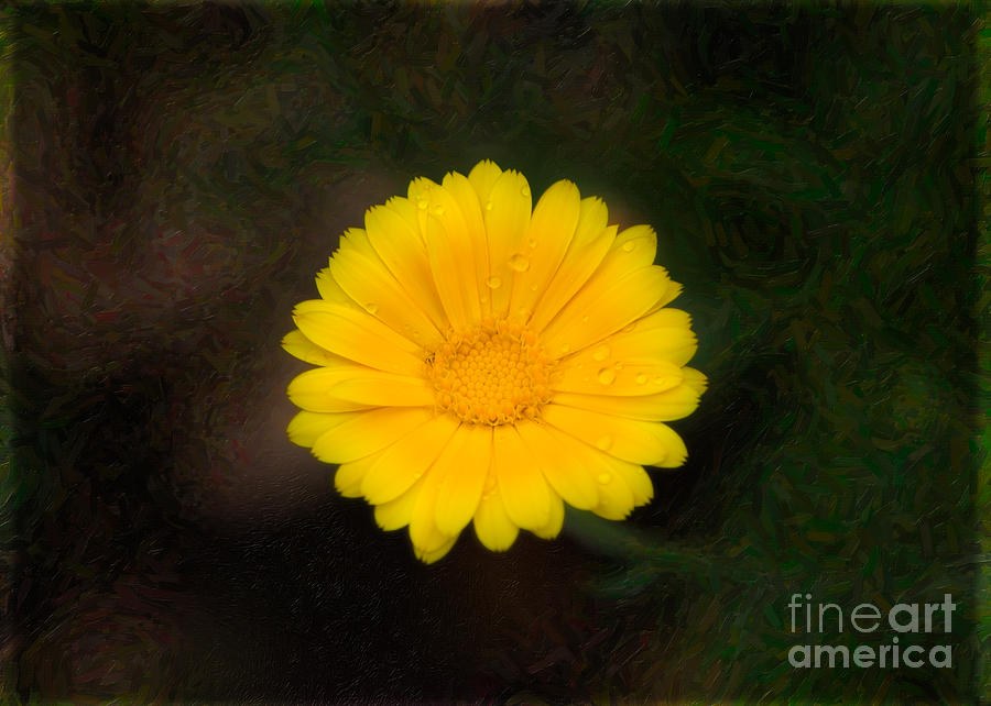 Wet Petals and Painted Dreams Abstract Flower Art by Omaste Witkowski by Omaste Witkowski