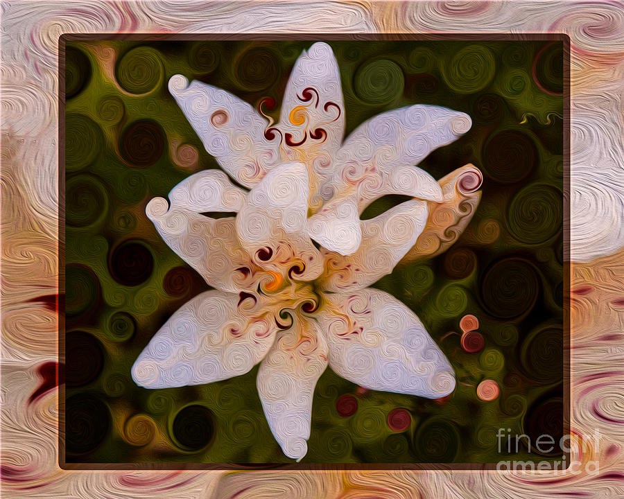 White Lily Opening to the Sun Abstract Flower Art by Omaste Witkowski
