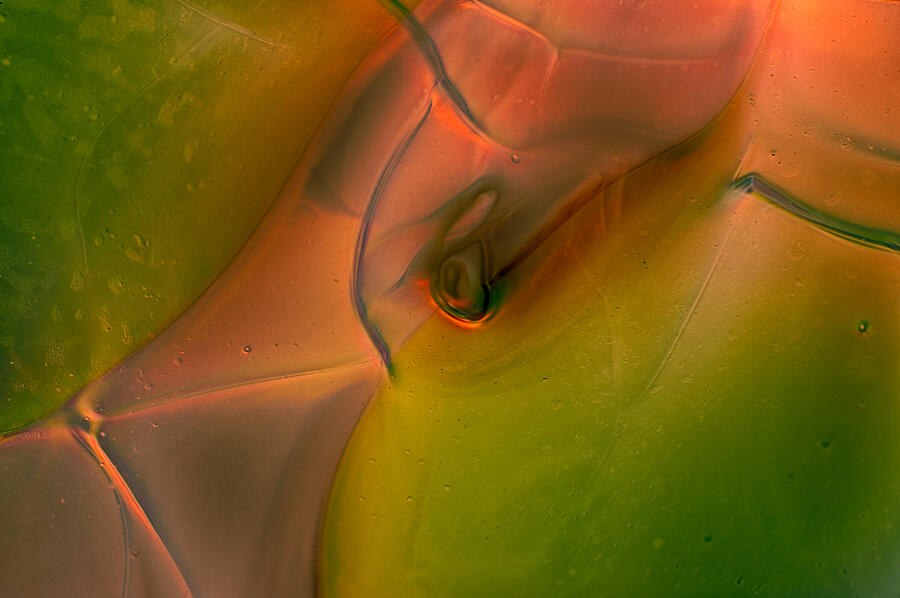 Moss and Ember, Translucent Green and Coral Abstract, abstract wall art by Omaste Witkowski