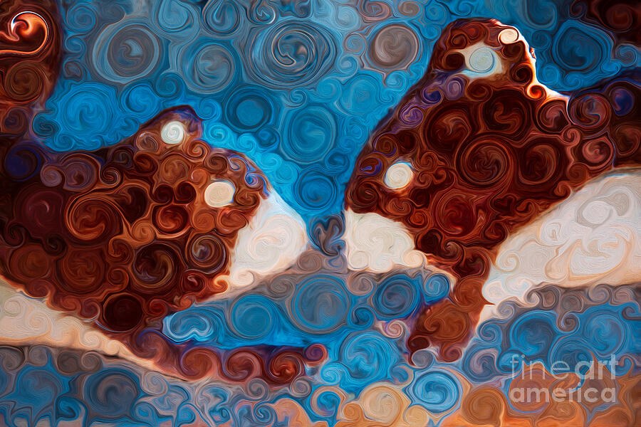 Face to Face, Rust Swirl Forms on Turquoise by Omaste Witkowski