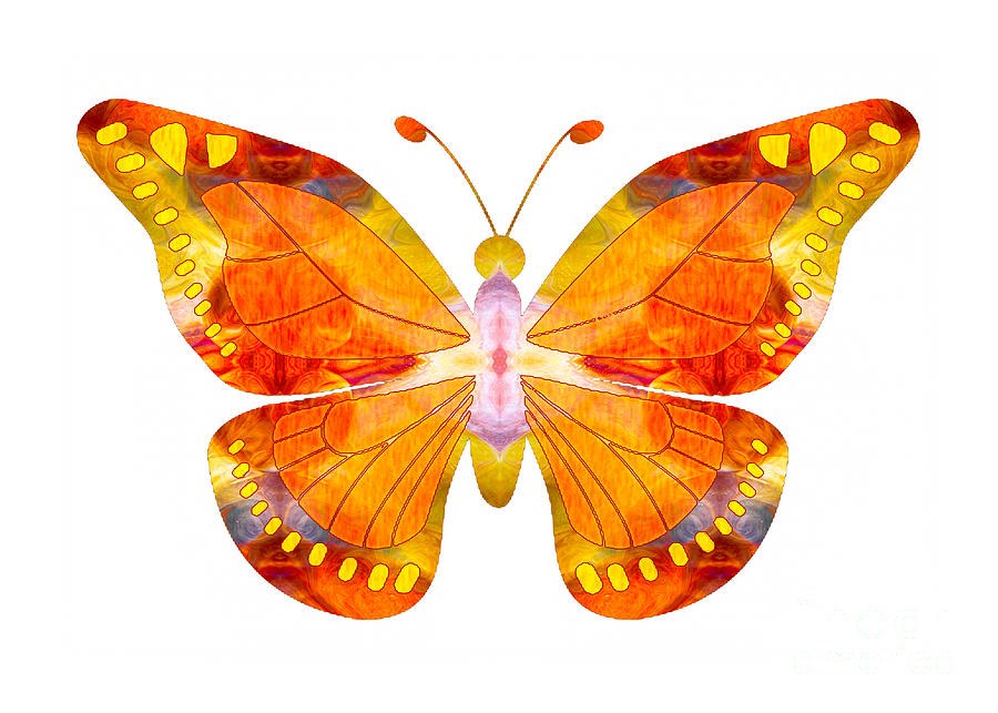 Ember Wings, Symmetrical Orange Butterfly by Omaste Witkowski