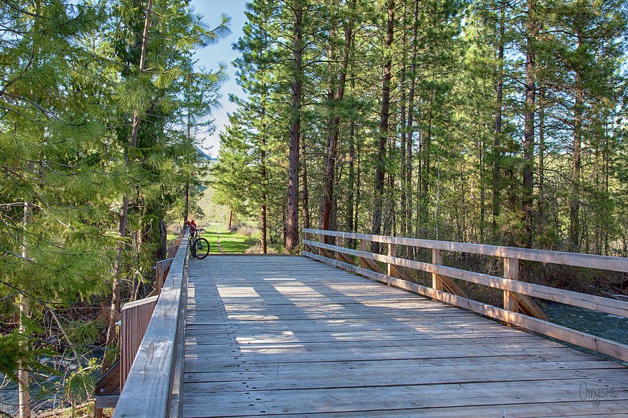 Wolf Creek Bike Ride in Winthrop Art by Omashte by Omaste Witkowski