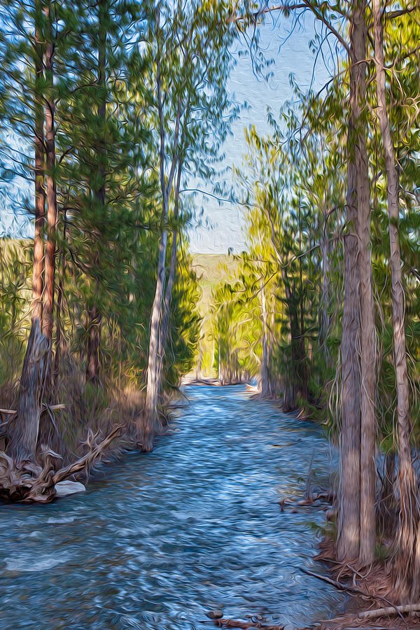Wolf Creek Flowing Downstream by Omaste Witkowski