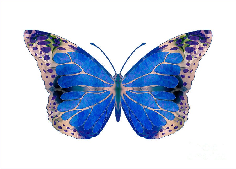 Cobalt Jewel Wings, Blue Butterfly by Omaste Witkowski