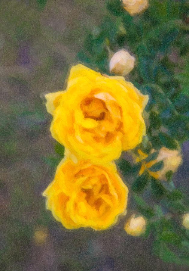Yellow Roses on a Bush by Omaste Witkowski