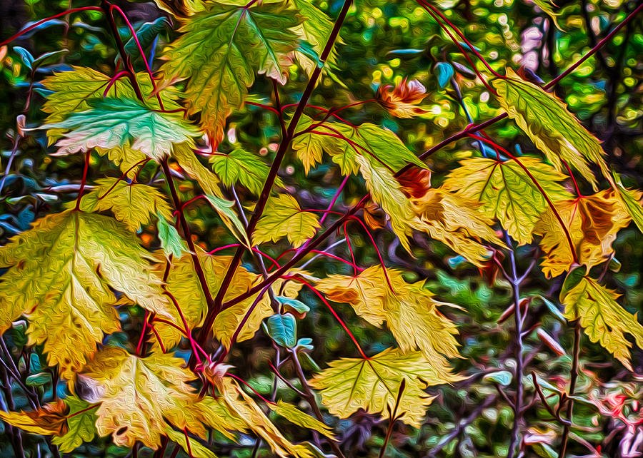 Autumn Leaves